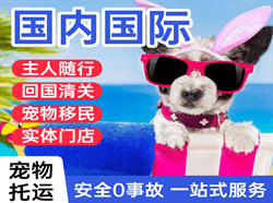韶关丹霞机场邮寄国际宠物托运 【国